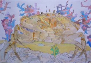 Crab